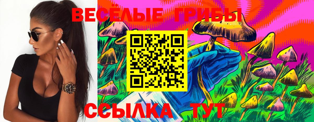 Галлюциногенные грибы ЛСД Химки